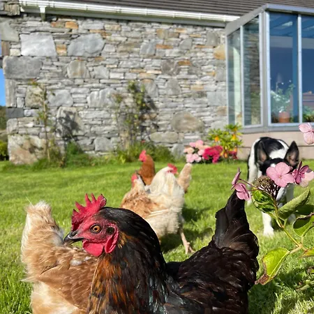 Shanakeever Farm - 2 Bedroom Clifden