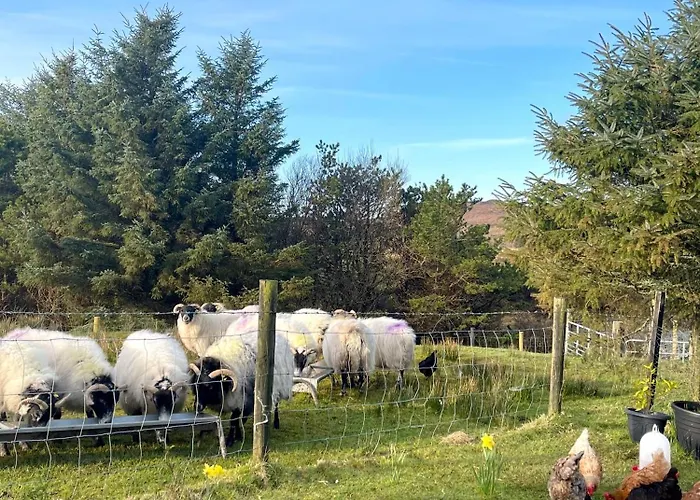 Shanakeever Farm - 2 Bedroom Apartmán