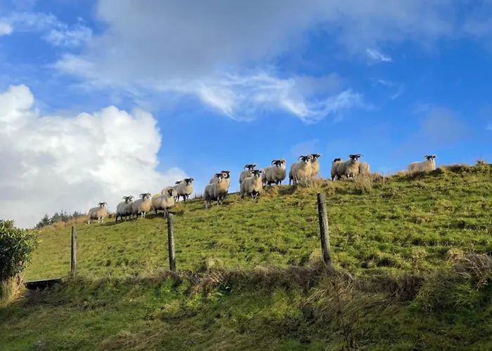 Shanakeever Farm - 2 Bedroom Apartmán Clifden