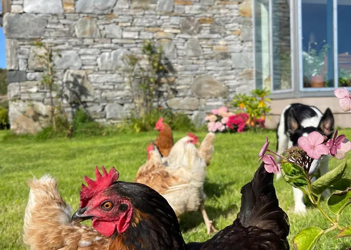 Shanakeever Farm - 2 Bedroom Clifden